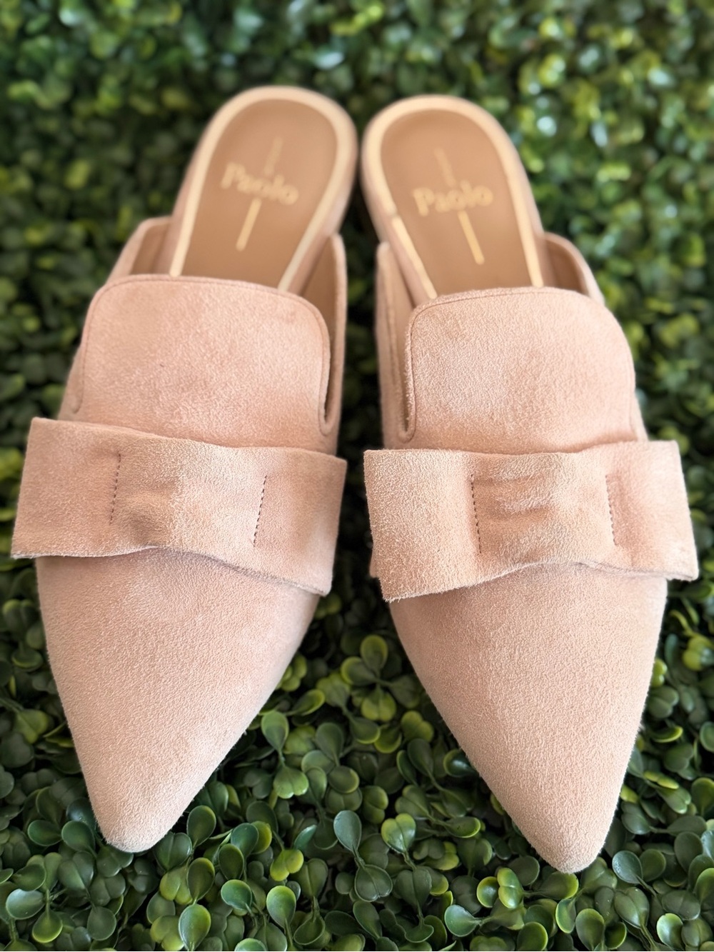 Linea Paolo Anya Blush Suede Mule